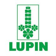 Lupin